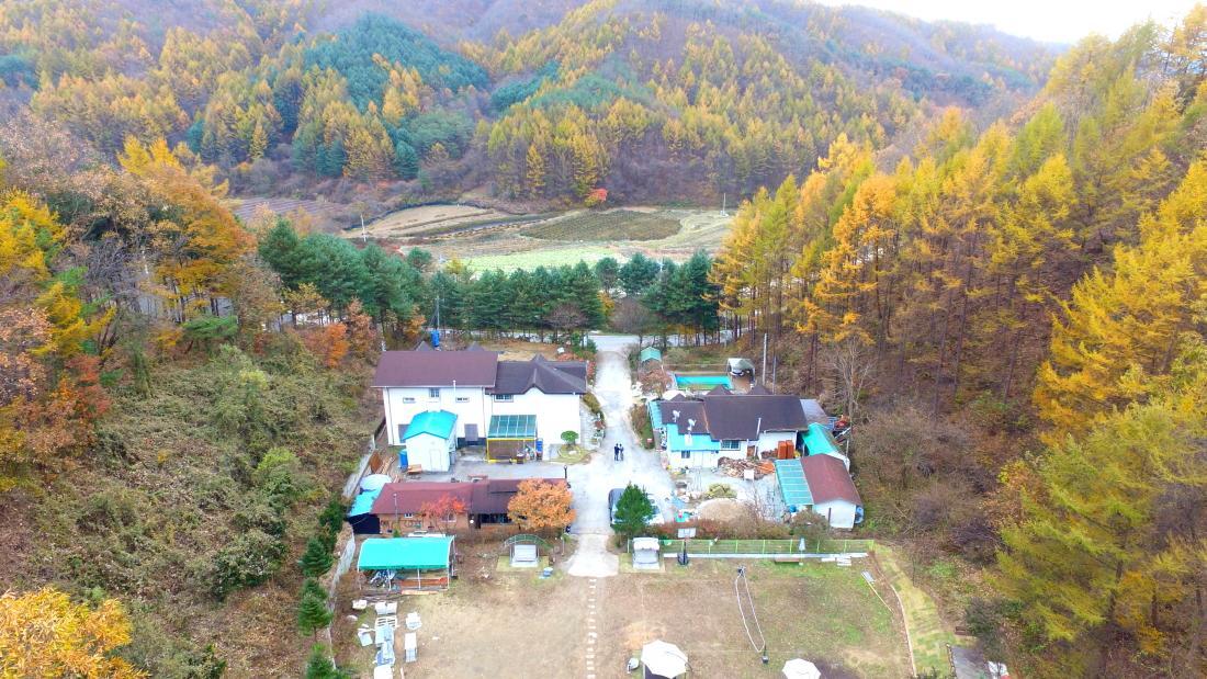 Pinearoma Pension Hongcshon Kültér fotó